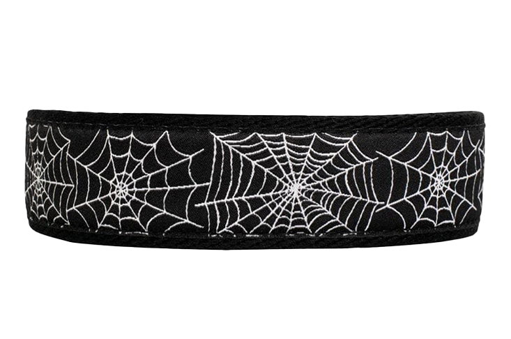 Hampton Arachnid Golf Ribbon 1 3/8" Strap